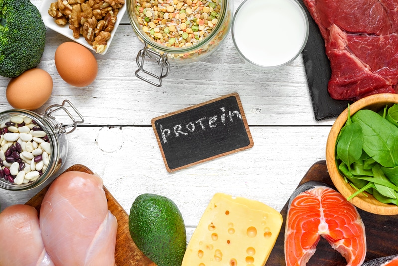 Dairy Protein: Everything You Need to Know