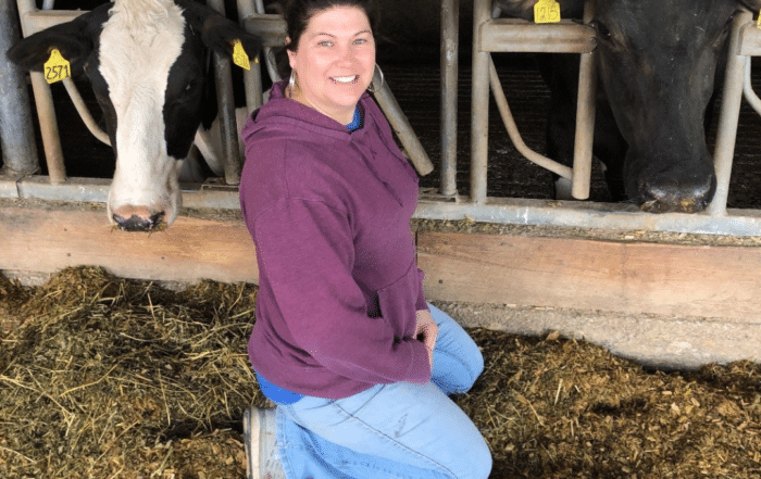 Woman kneeling beside two cows