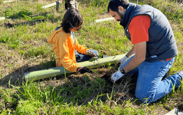 A dairy farming family planted trees on their farm.