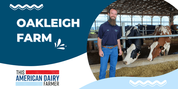 Dairy farmer Matt Brake stands among dairy cows as they feed at Oakleigh Farm.